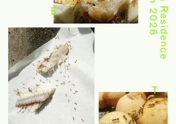 Aomori Contemporary Art Centre, Artist in Residence Program 2026 “EAT”_1771911845370