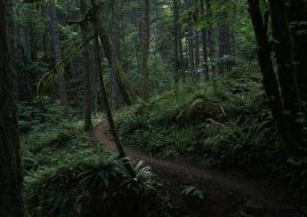 Escape to Vancouver Island this Winter_1788254108694